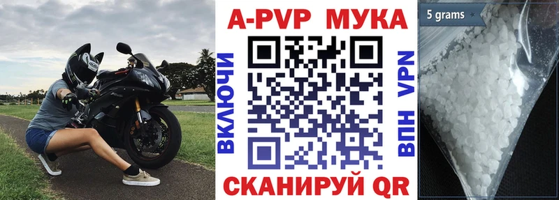 APVP СК  закладка  Гагарин 