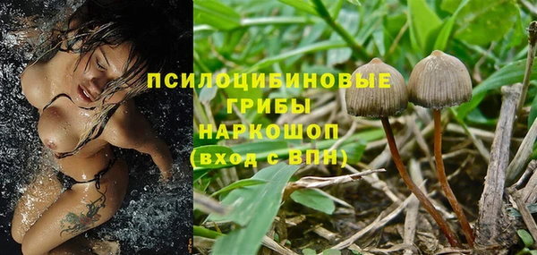 прущая мука Абаза