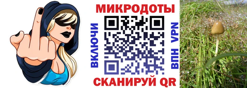 Галлюциногенные грибы GOLDEN TEACHER  Гагарин 