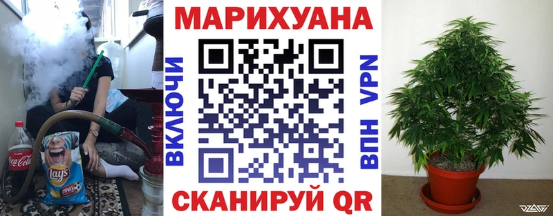 Каннабис OG Kush  Гагарин 
